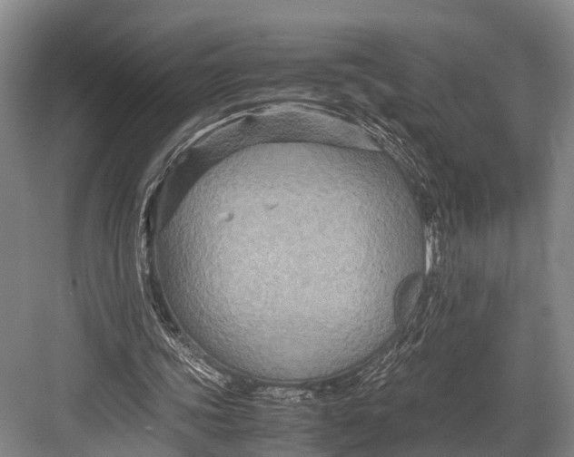 X0000082720339200702161847