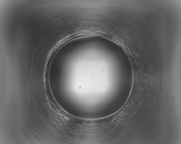 X0000082720340200702161847