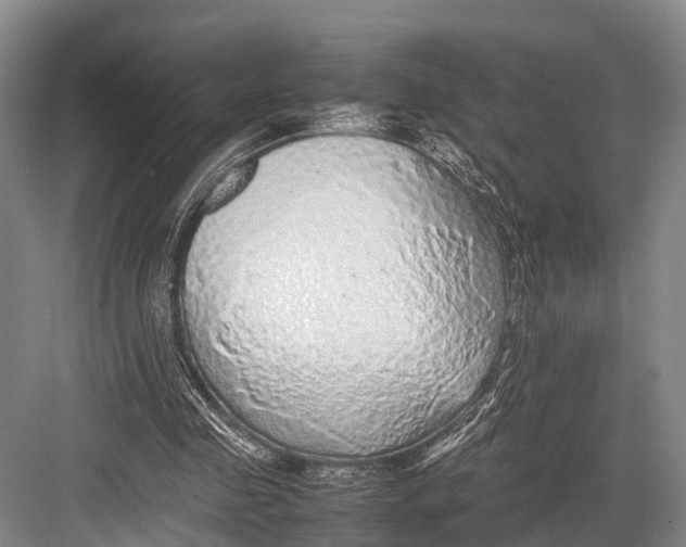 X0000082720341200702161847