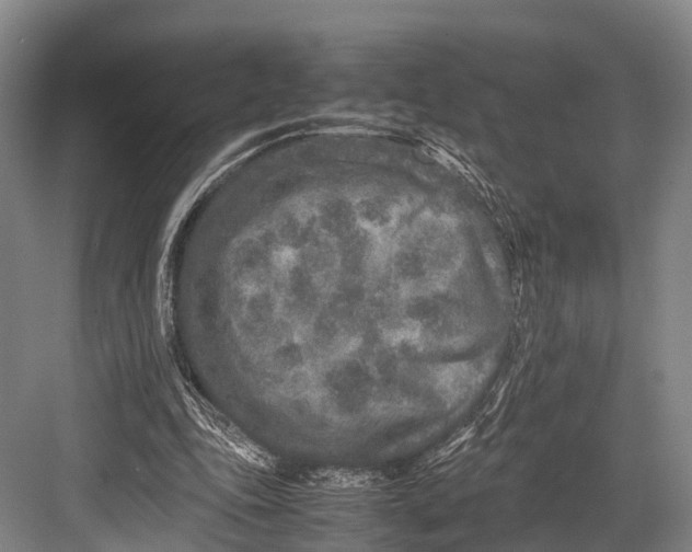 X0000082720343200702161847