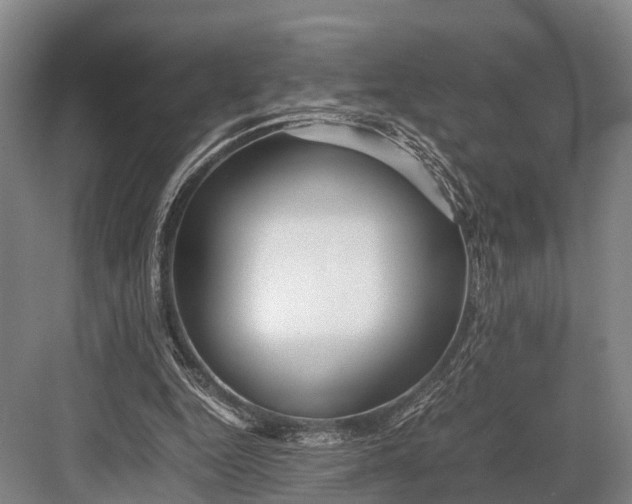 X0000082720344200702161847