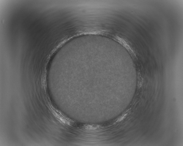 X0000082720346200702161847