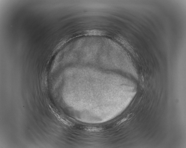 X0000082720347200702161847