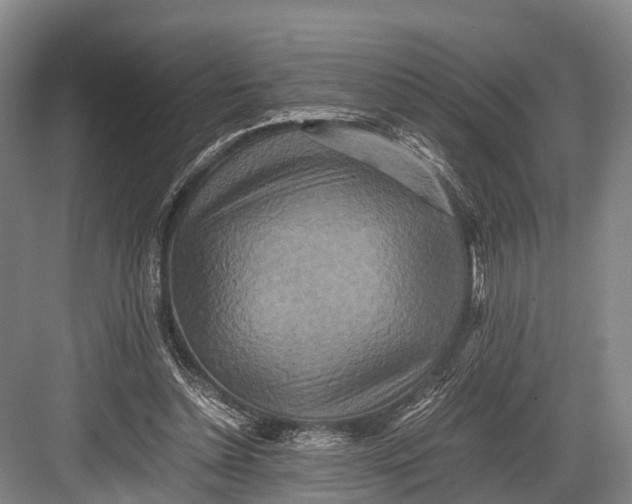 X0000082720348200702161847