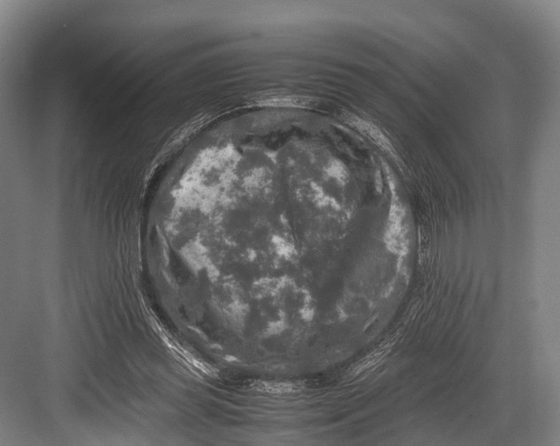 X0000082720349200702161847