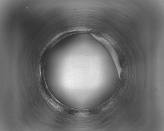 X0000082720350200702161847