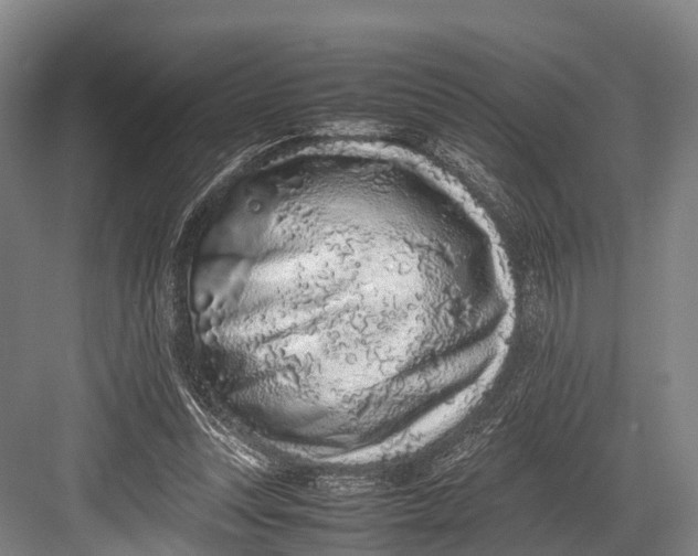 X0000082720351200702161847