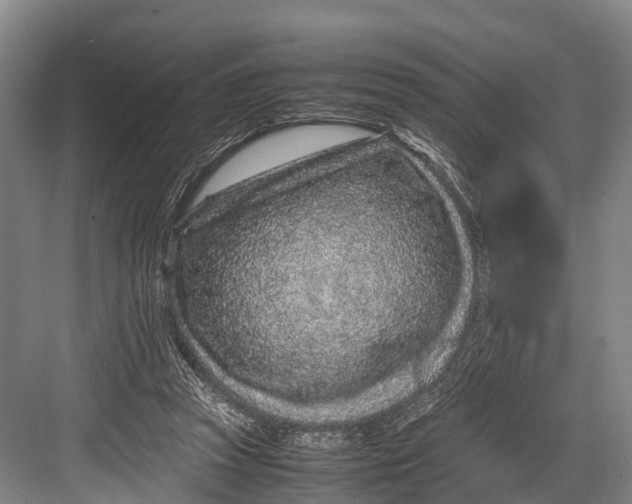 X0000082720353200702161847