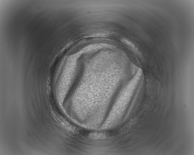 X0000082720354200702161847