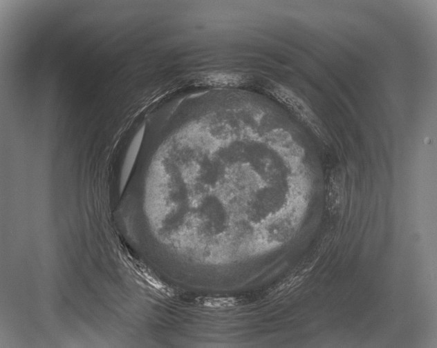 X0000082720355200702161847