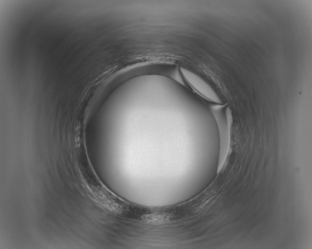 X0000082720356200702161847