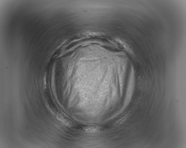 X0000082720358200702161847