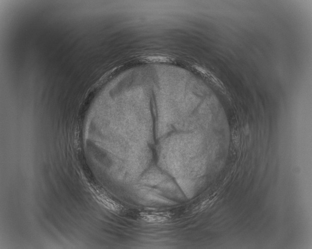 X0000082720359200702161847