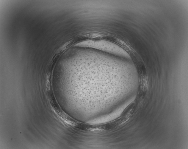 X0000082720360200702161847