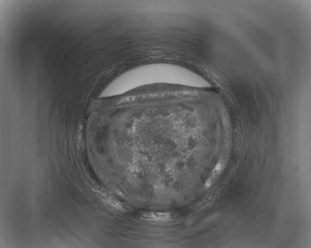 X0000082720361200702161847