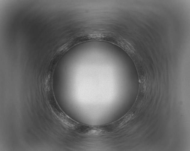 X0000082720364200702161847