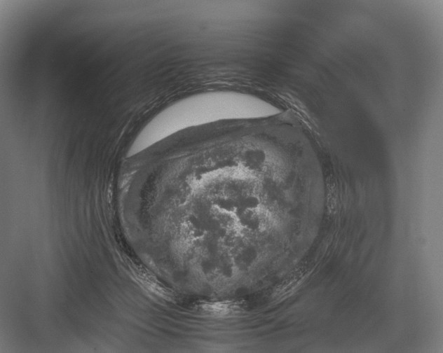 X0000082720365200702161847