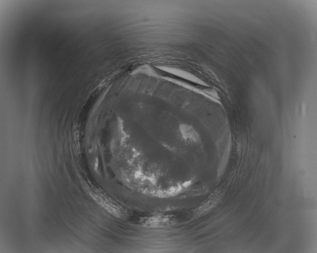 X0000082720366200702161847