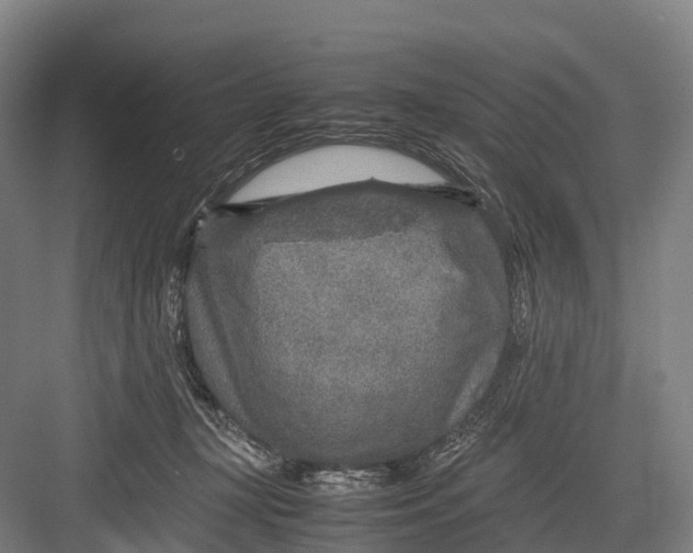 X0000082720367200702161847