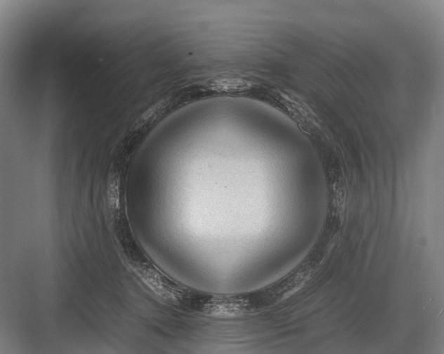 X0000082720368200702161847