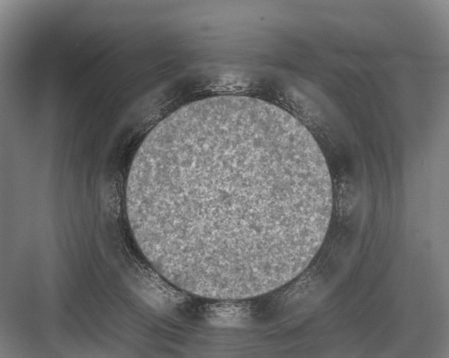 X0000082720370200702161847