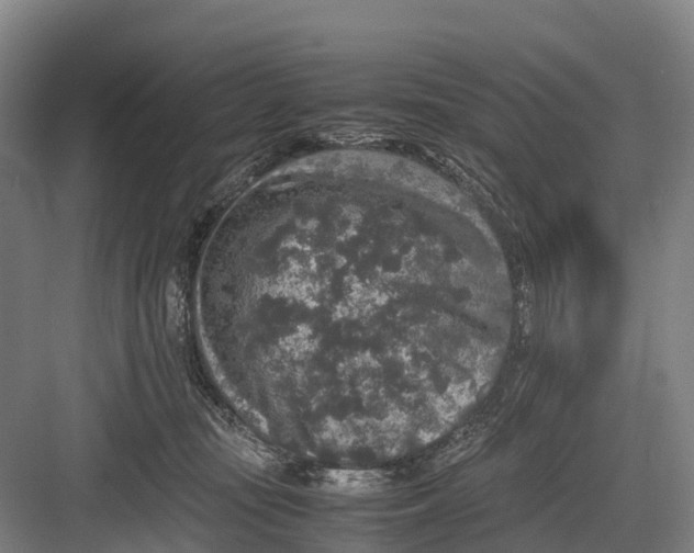 X0000082720371200702161847