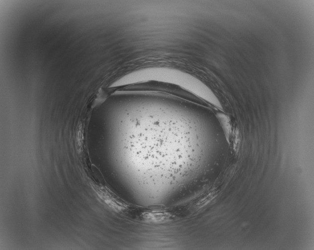 X0000082720372200702161847