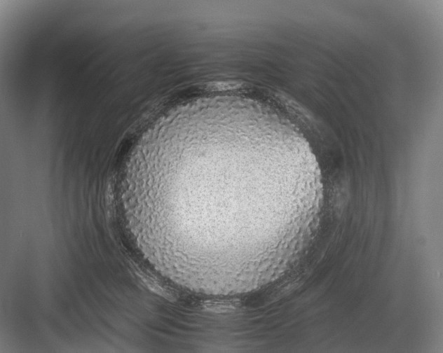 X0000082720373200702161847