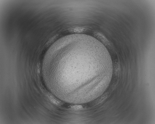 X0000082720374200702161847