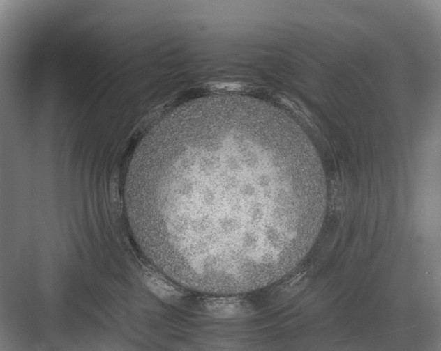 X0000082720377200702161847