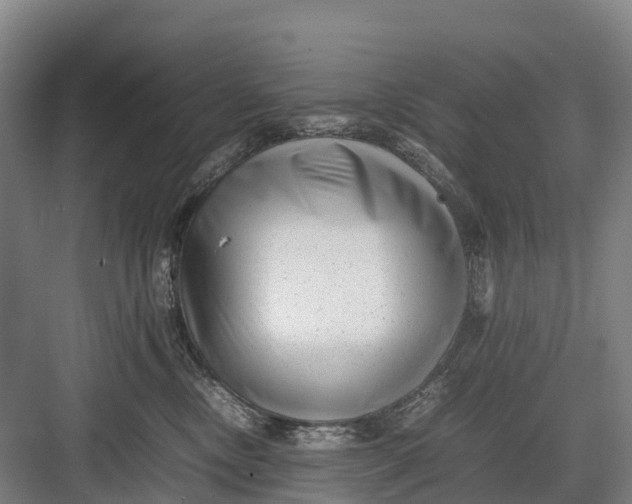 X0000082720378200702161847