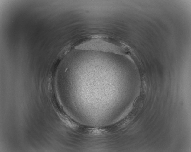 X0000082720379200702161847