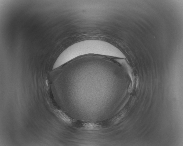 X0000082720380200702161847