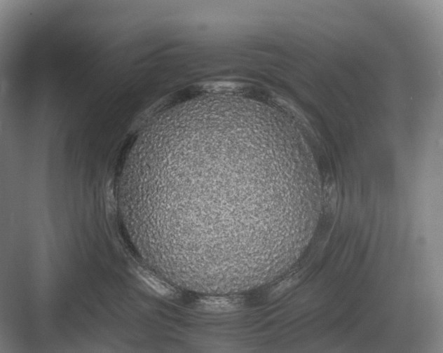 X0000082720381200702161848