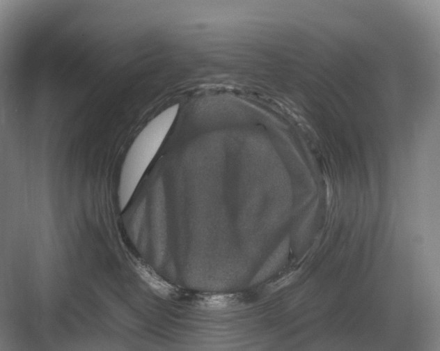 X0000082720382200702161848