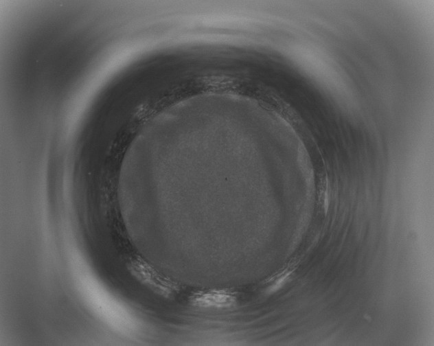 X0000082720383200702161848