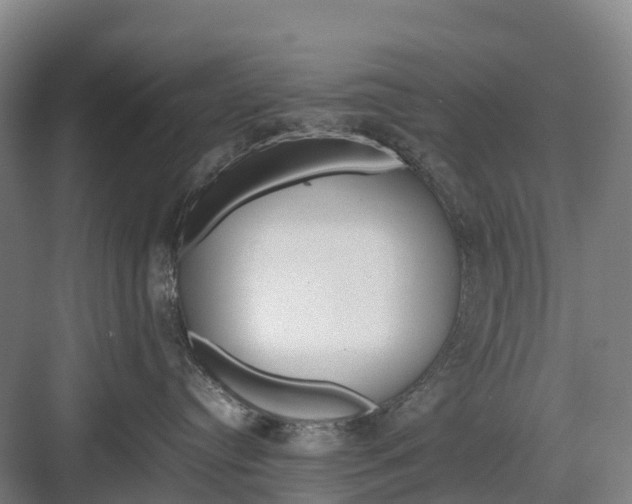 X0000082720384200702161848