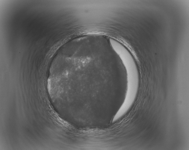 X0000082720385200702161847