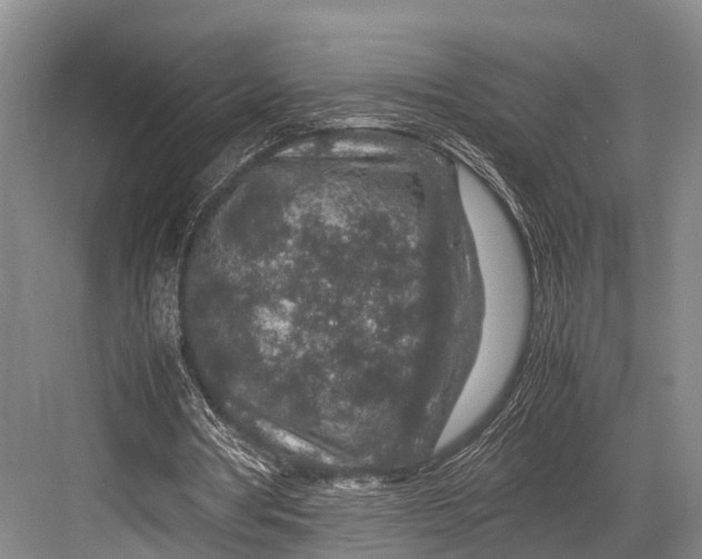 X0000082720386200702161847