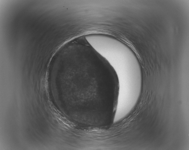 X0000082720387200702161847