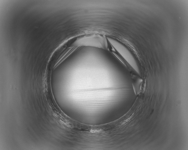 X0000082720388200702161847