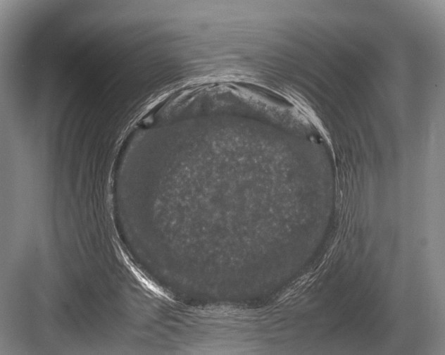 X0000082720389200702161847