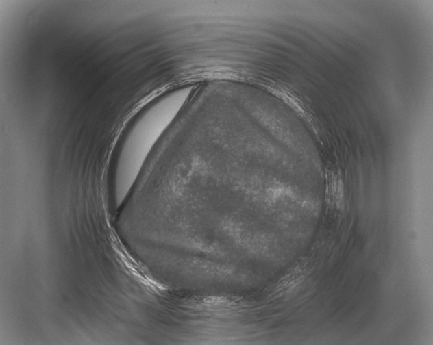 X0000082720390200702161847