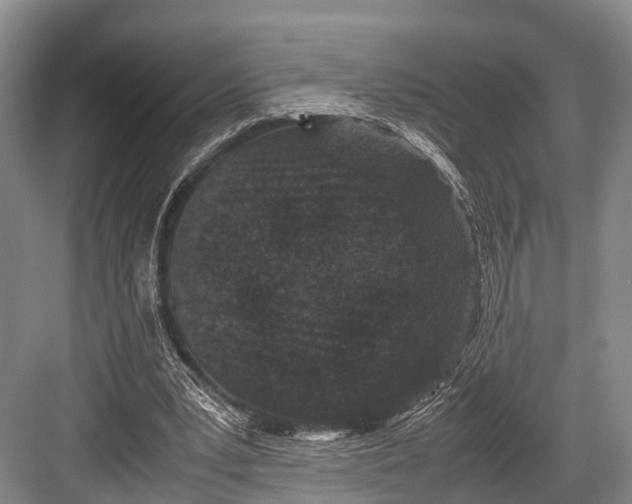 X0000082720391200702161847