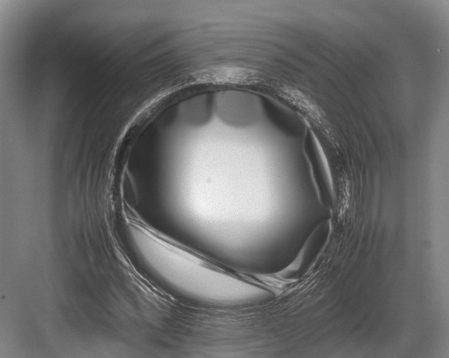 X0000082720392200702161847