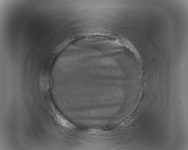 X0000082720393200702161847