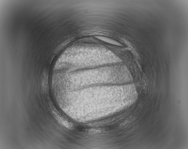 X0000082720394200702161847