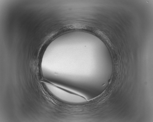 X0000082720395200702161847