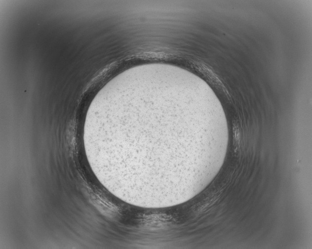 X0000082720396200702161847