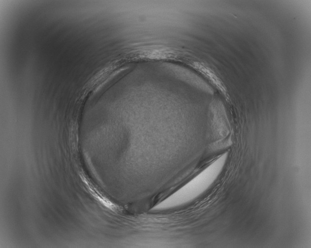 X0000082720397200702161847